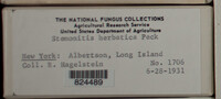 Image Associated With the Occurence